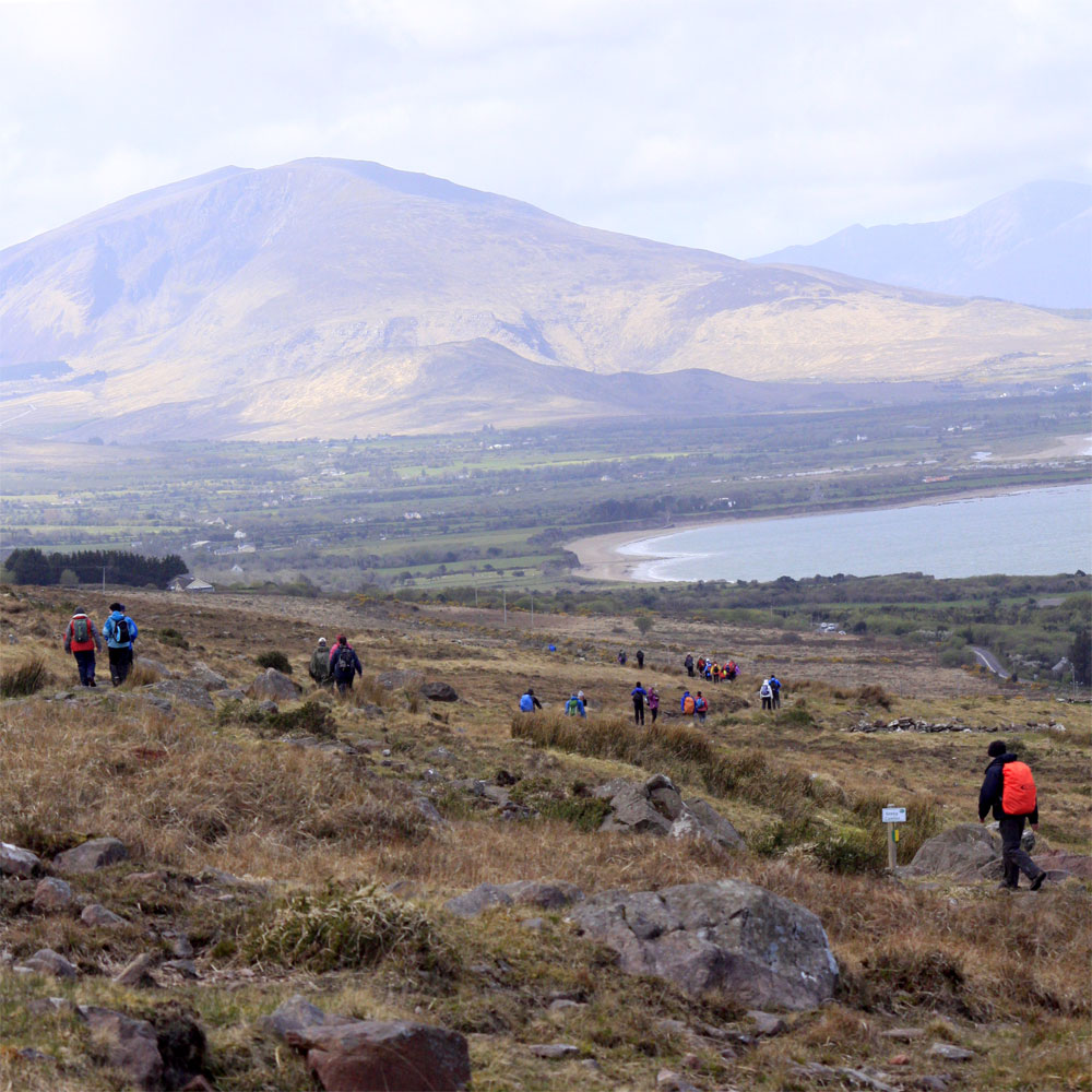 An image of walkers near Derrymore on the Dingle Peninsula Walking on the Kerry Camino Walking weekend
