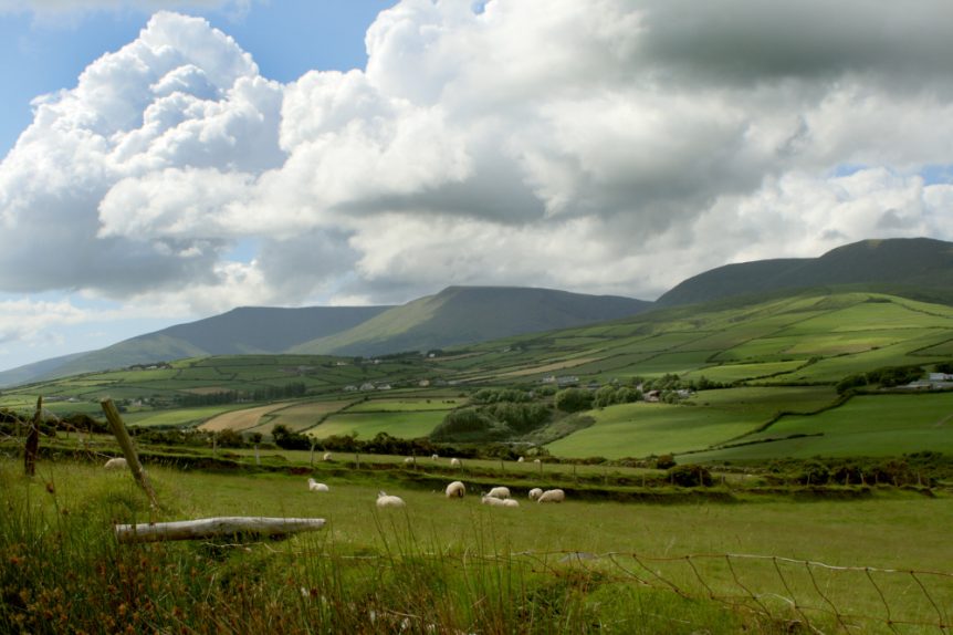 image of a green vally along the kerry Camino